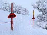 Offenes steiles Gelände