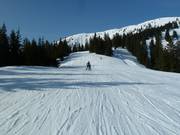 Piste am Sattelkurvenlift