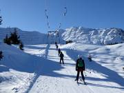 Arvenis - Tellerlift