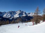 Herrliche Piste vom Stiergarten