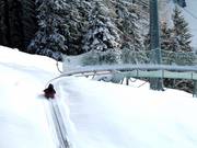 Alpine Coaster am Paradaschierlift