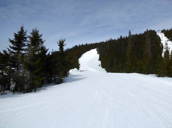 Schwere Piste Skogshenget