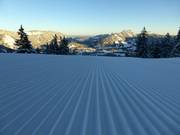 So startet der Tag an der Wiedhagalpe