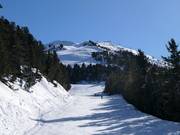 Piste Praimont