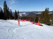 Helly Hansen Skicross