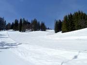 Schwarzenbergabfahrt