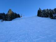 Schwarze Buckelpiste