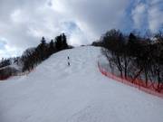 Buckelpiste Ladies Downhill