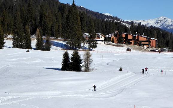 Langlauf Brentagruppe – Langlauf Madonna di Campiglio/Pinzolo/Folgàrida/Marilleva