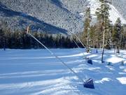 Schneelanzen am Pistenrand in Panorama