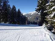 Leichte Sattelabfahrt