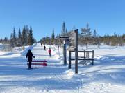 H3 Älgen - Tellerlift