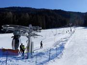 Abrahamwiese - Tellerlift