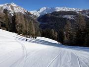Mittelschwere Piste Sinkmoos zur Talstation Breiteben