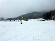 Hirschzwergland und Muli 1