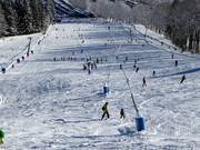 Lanzenbeschneiung in Wegscheid