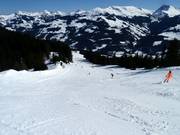 Piste Nr. 66 Jägerwurz