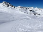 Freeride am Gletscher