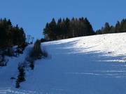 Herrenabfahrt Riegel