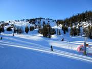 Leichte Abfahrten am Strawberry Express zum Sunshine Village