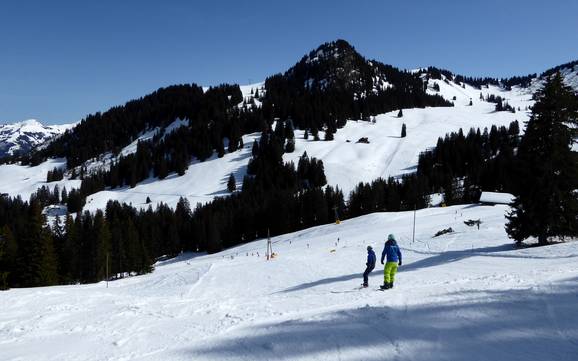 Skifahren in Zweisimmen
