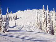 Buckelpisten von der Bergstation des Crystal Chair