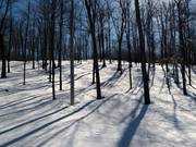 Ein Spaß für die Könner sind die Gladed Runs