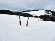 Weißtanne 1 - Tellerlift