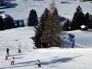Schneiturm auf der Talabfahrt Kleinarl