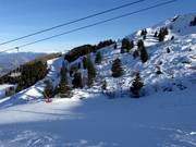 Tiefschneehänge oberhalb von Vason