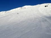 Auch die schwarzen Pisten sind perfekt präpariert