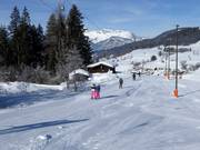 Simmerllift - Schlepplift mit T-Bügel/Anker