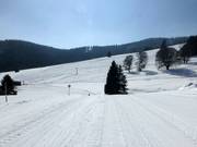 Verbindungsabfahrt zwischen Mösle- und Schwinbachlift