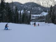 Schwere Piste 14 Balbach-Ochsengarten