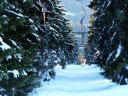 Predigtstuhl II - Herzerllift - Schlepplift mit T-Bügel/Anker