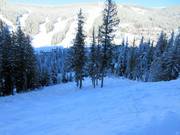 Double Diamond Abfahrt am Mt. Morrisey