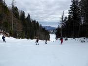 Leichte Piste am Schlepplift im Talbereich