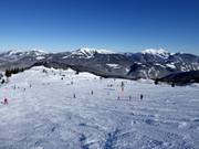 Leichte Kammerkör-Abfahrt (Steinplatte)