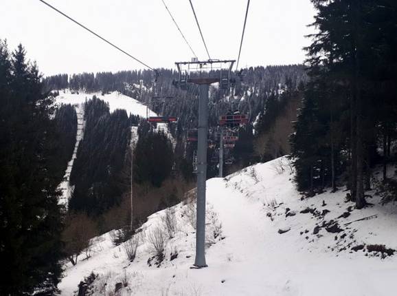 Gabelou - © Michael Medek