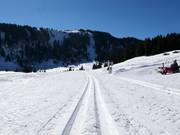 Loipe Madilsrunde (Alp Tannenboden)