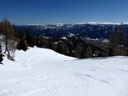 Almabfahrt St. Michael (Talabfahrt)