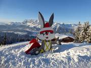 Tipp für die Kleinen  - Hopsi-Kinderland der Skischule Hopl (Planai)
