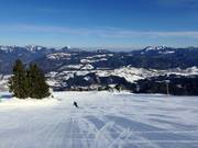 Leichte Piste am Bärenlift