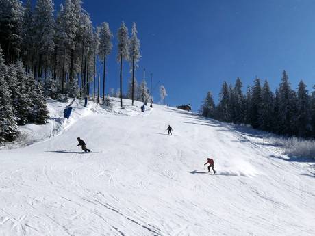 Skigebiete für Könner und Freeriding Karlsbader Region (Karlovarský kraj) – Könner, Freerider Pleßberg (Plešivec) – Abertamy
