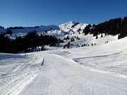 Leichte Muldenabfahrt