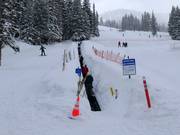 Porcupine - Förderband/Zauberteppich