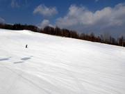 Leichte und breite Piste Family