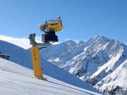 Leistungsfähige Beschneiung in See