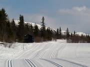 Die Loipen starten am Gaustablikk Høyfjellshotell