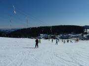 Resilift II - Tellerlift